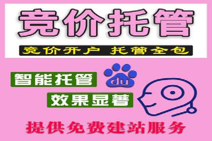 百度竞价推广助力企业品牌崛起案例